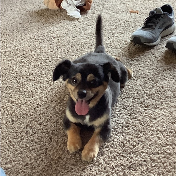 fuzzy1000
